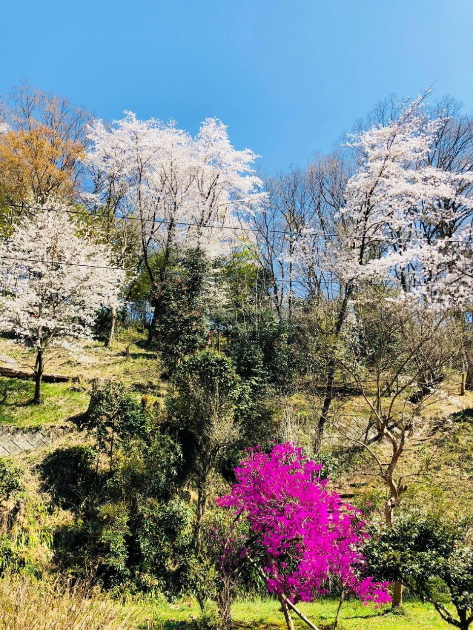 Ryutakuzenji 宿坊 Takasaki Dış mekan fotoğraf