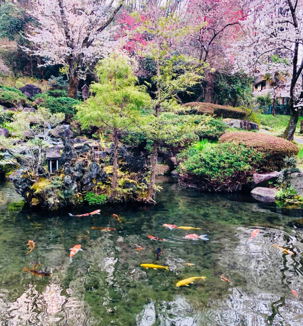 Ryutakuzenji 宿坊 Takasaki Dış mekan fotoğraf